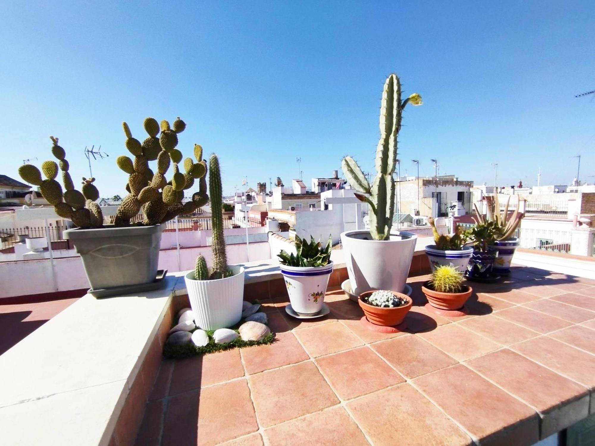 Apartmán Casa Gavidia - Duplex With Panoramic View Sevilla Exteriér fotografie